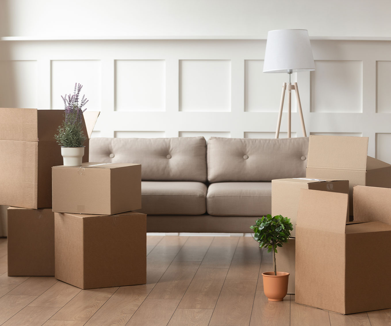 Moving boxes in a living room